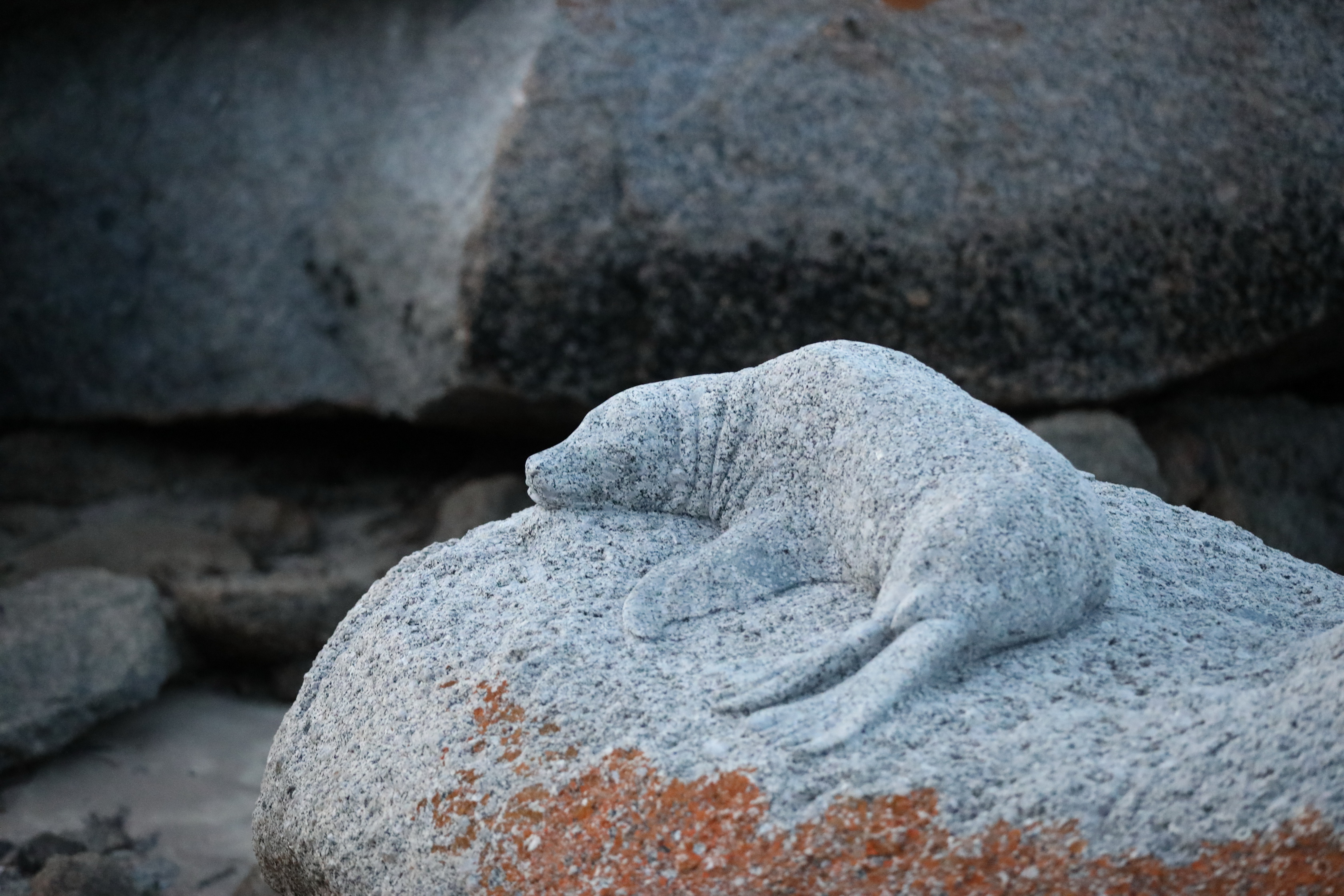 2019 09 28 18 28 47 Canon EOS 5D Mark IV 0052